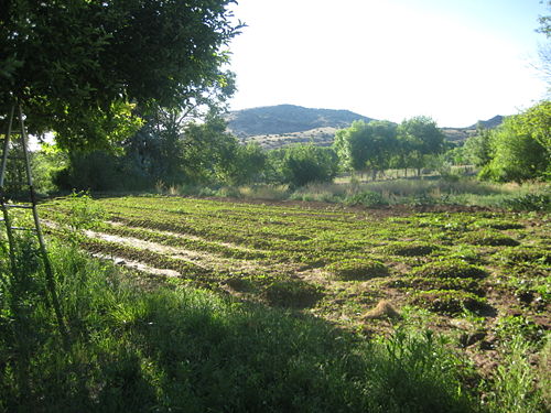 acequia