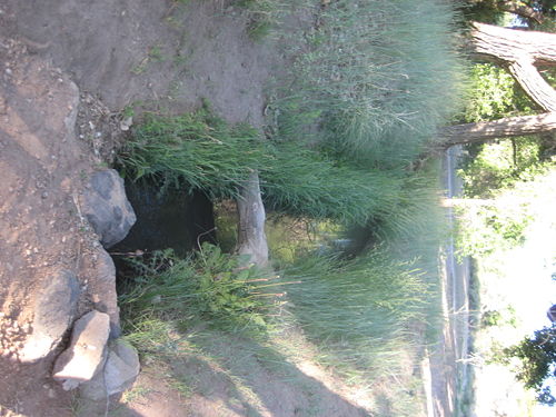 acequia